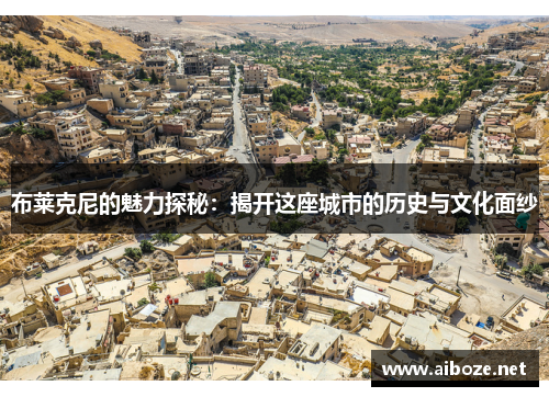 布莱克尼的魅力探秘：揭开这座城市的历史与文化面纱