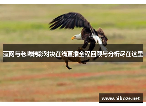 蓝网与老鹰精彩对决在线直播全程回顾与分析尽在这里